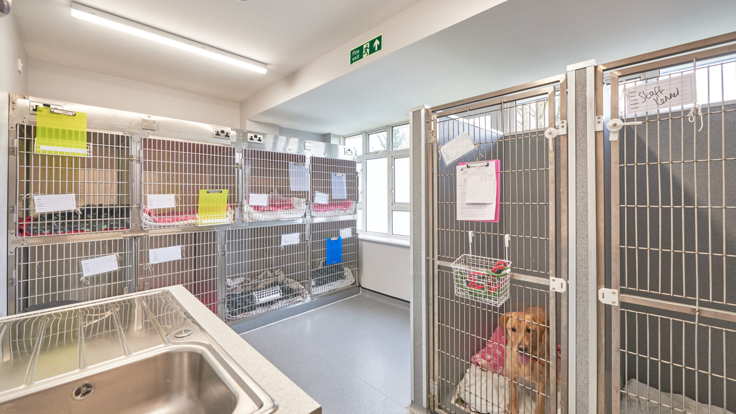Mercer and Hughes – New State-Of-The-Art Veterinary Practice Facilities
