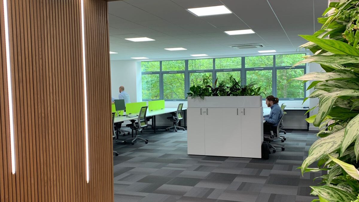 The Benefits of Biophilic Design