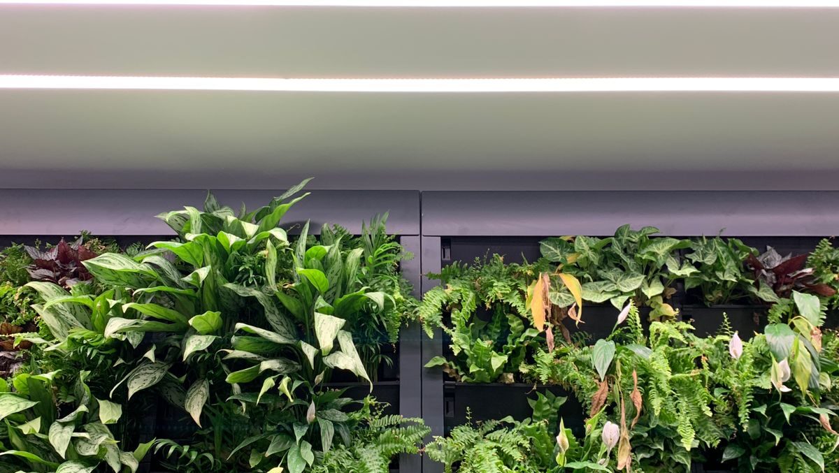 The Benefits of Biophilic Design