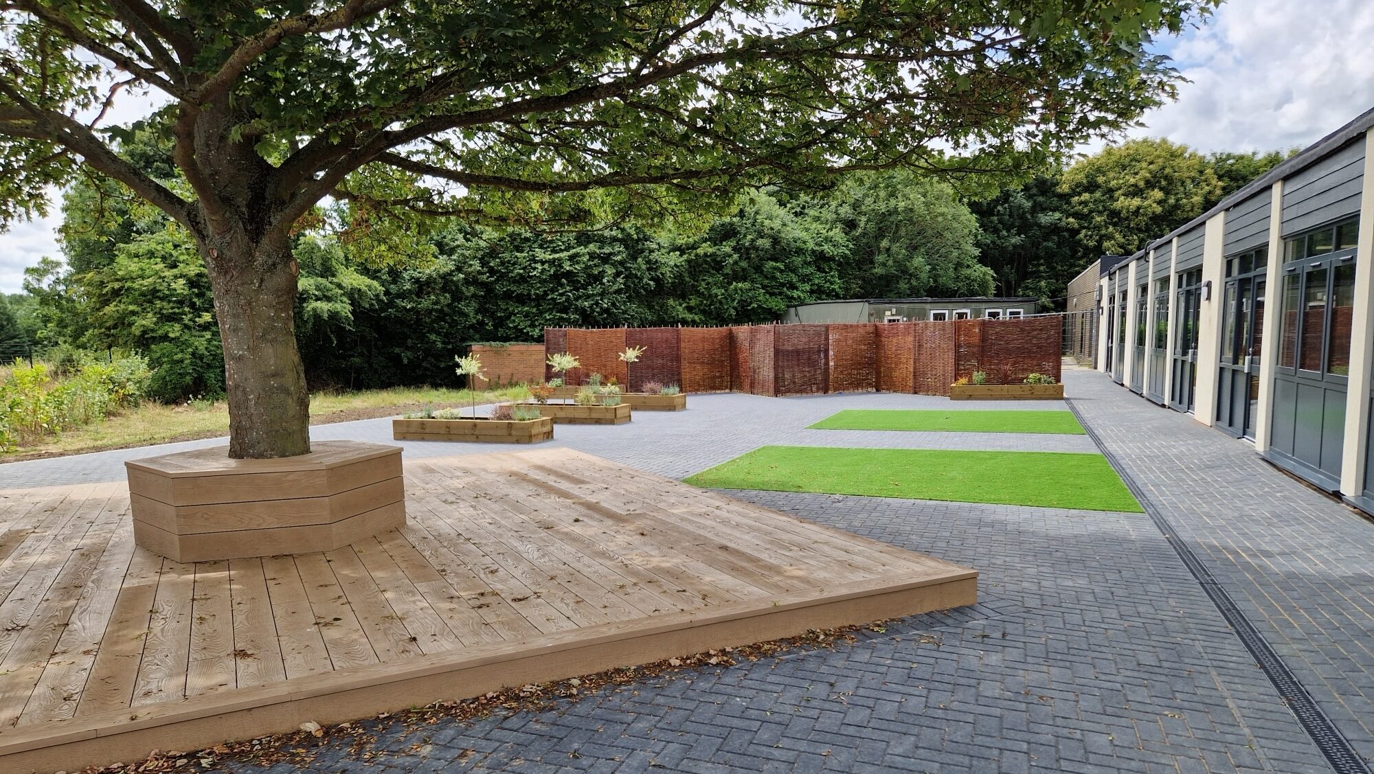 Paved school playground with wooden boxing and benches around a tree