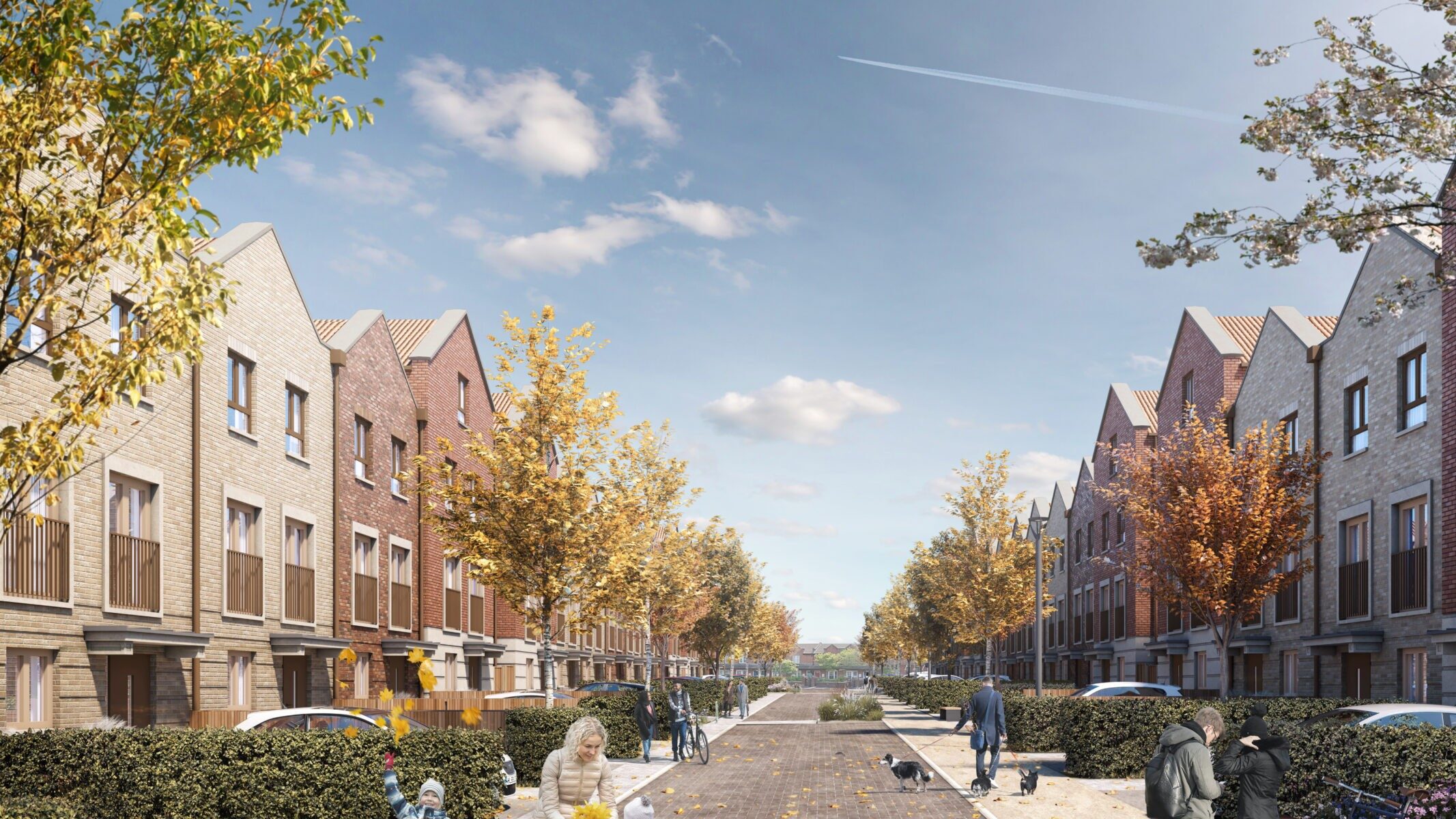 Highway Design & Streetscape Management
