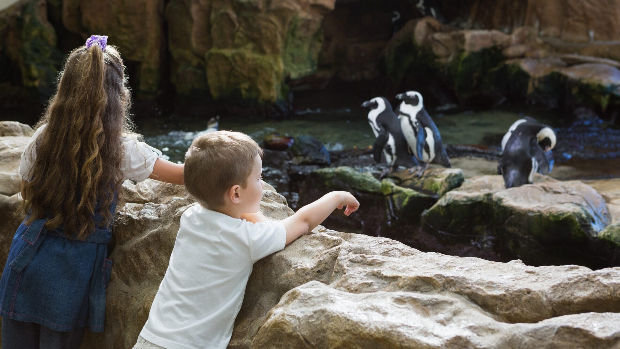 Barker Appointed To Support Hertfordshire Zoo’s Transformational Masterplan